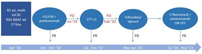 Clinical outcomes of intermittent panitumumab based-therapy for previously treated older patient with metastatic colorectal cancer: a case report and review of literature